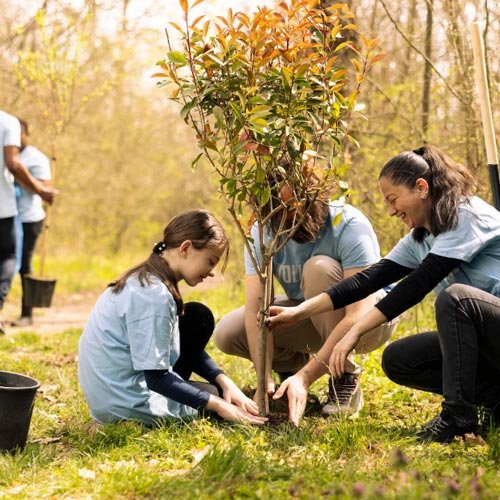 Abogado experto en regulación de áreas verdes y protección ambiental municipal